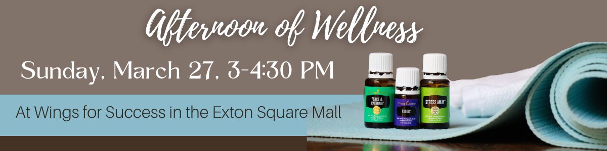 Afternoon%20of%20Wellness%20Banner(1).png
